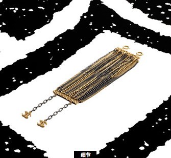 Chanel΃2011錚