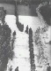 Ͼ1947꼯wY