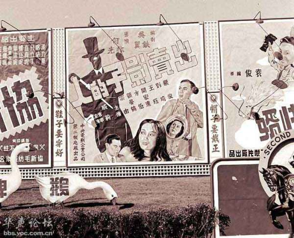 1948Ϻ^ĸV