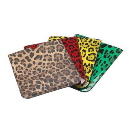 iPadF ChanelriPad