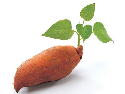 ȻˎĤ׵B(yng)