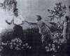 hġĸŮ ɤ诽䄡