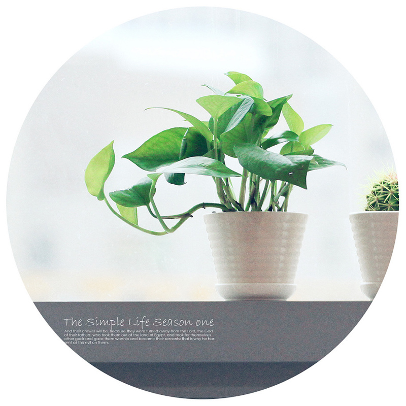 ҕXС£The simple life season one
