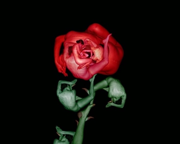 25qŮĳʷ(qing)wzӰ