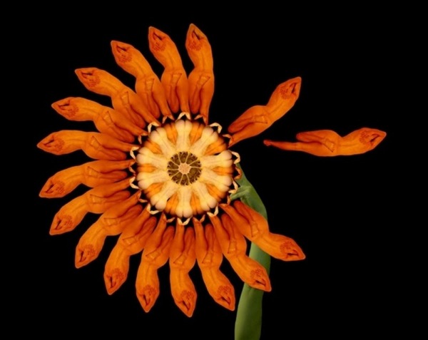 25qŮĳʷ(qing)wzӰ