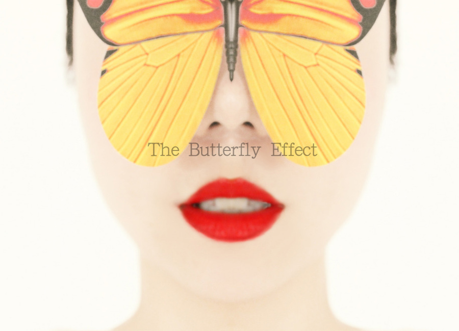 LҕXThe Butterfly Effect