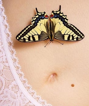 ̲ ̺۵ĂС[T