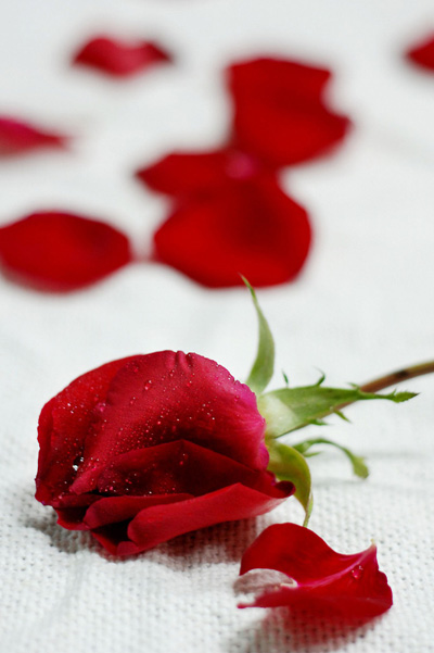 mһNeӵĜ