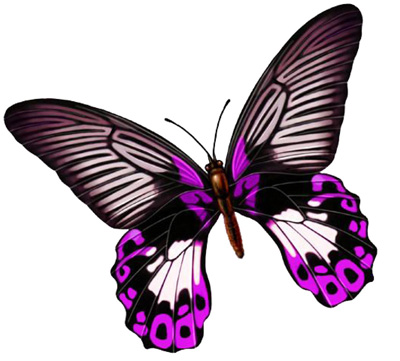 ϵ飬ĮȻһ