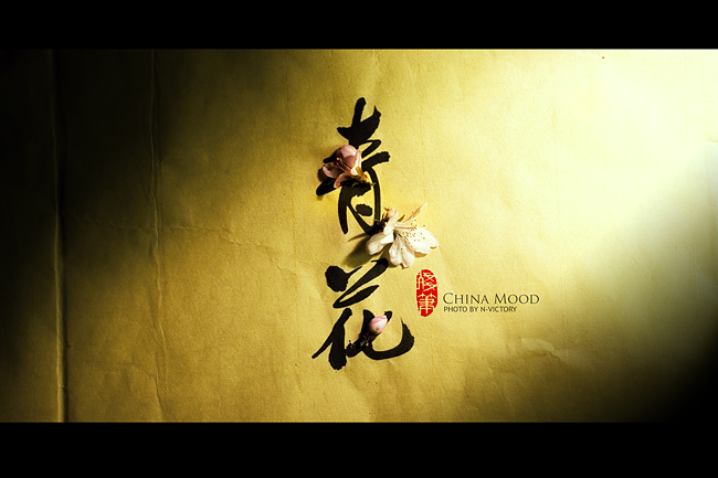 ΨЇLo棺CHINA MOOD