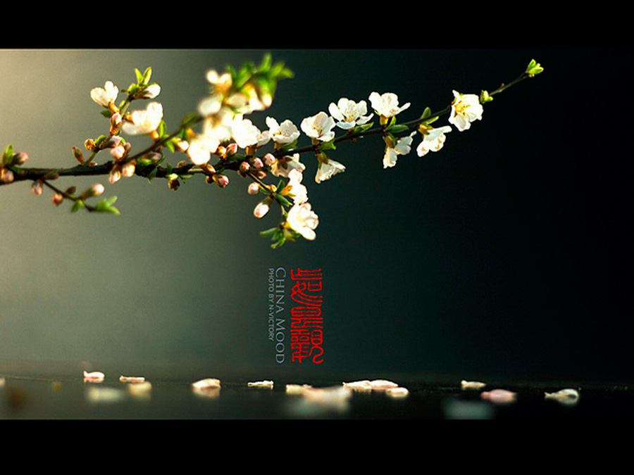 ΨЇLo棺CHINA MOOD