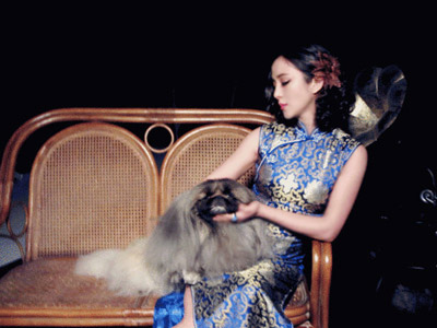 周菲旗袍裝登《名犬》雜志 盡顯民國風情