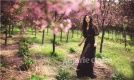 _ϡmarieclaire¿