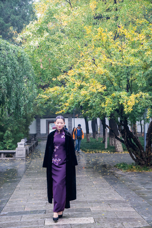2015Їϵз ۴ȫ