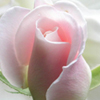 (jng)䷼ õǰ