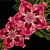 (gu)25qŮĳʷ(qing)wzӰ