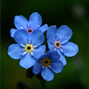 wm<em>Ⱦ</em>ഺδ