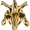 `ӵļoϣBlack box <em>ö</em>ָ