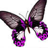 ϵ飬<em>Į</em>Ȼһ