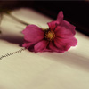 ӛһNLȣһNǻ